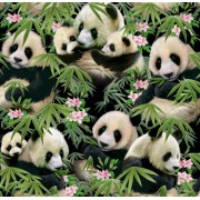 Panda Bears by Elizabeth Studios - ES1230 Panda Bears by Elizabeth Studios - ES1230