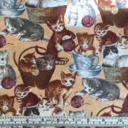 Kittens Kittens