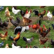 Chickens, Roosters, Hens by Elizabeth Studios - Farm Animals 354 Green Chickens, Roosters, Hens by Elizabeth Studios - Farm Animals 354 Green