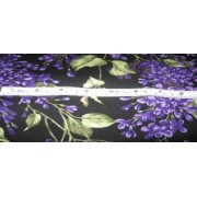 Lilacs Lilacs