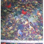 Wild Wings CP32862 by Creative Products Wild Wings CP32862 by Creative Products