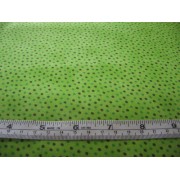Green spots on lime Green spots on lime
