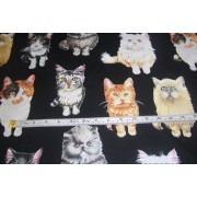 "Kittens for Sale" by Michael Miller "Kittens for Sale" by Michael Miller