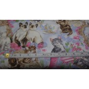 Cats by Kennard & Kennard Cats by Kennard & Kennard