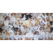 Doggies Delight, various breeds Doggies Delight, various breeds