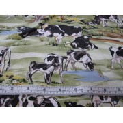 Black and white cows by Kennard & Kennard K6176 Black and white cows by Kennard & Kennard K6176