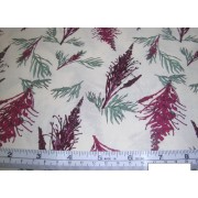 Grevillia on buff b/g by Max New Grevillia on buff b/g by Max New