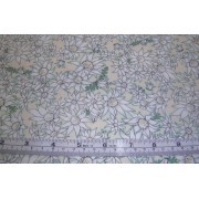 Flannel Flower - on buff b/g by Max New Flannel Flower - on buff b/g by Max New