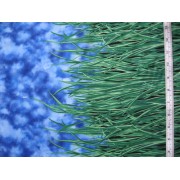 "Tales of the Riverbank" grass and sky border by Fabric Freedom F806/7
