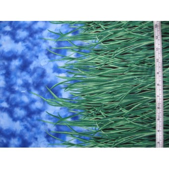 Tales of the Riverbank grass and sky border by Fabric Freedom F806/7