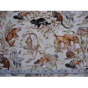 Burrangong Creek - Australian Animals by Kennard & Kennard Burrangong Creek - Australian Animals by Kennard & Kennard