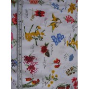 Wildflowers on white b/g by C.A. Boyle Wildflowers on white b/g by C.A. Boyle