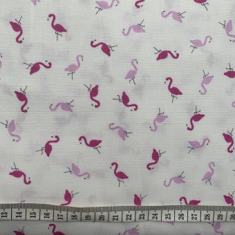 Flamingoes