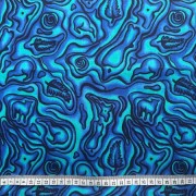 Paua Pictures Paua Pictures