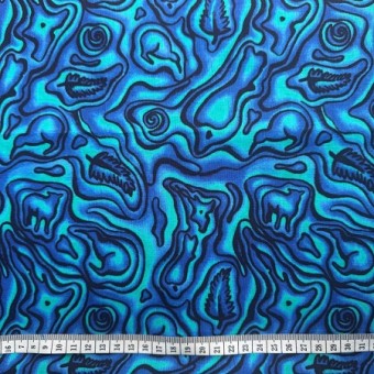 Paua Pictures
